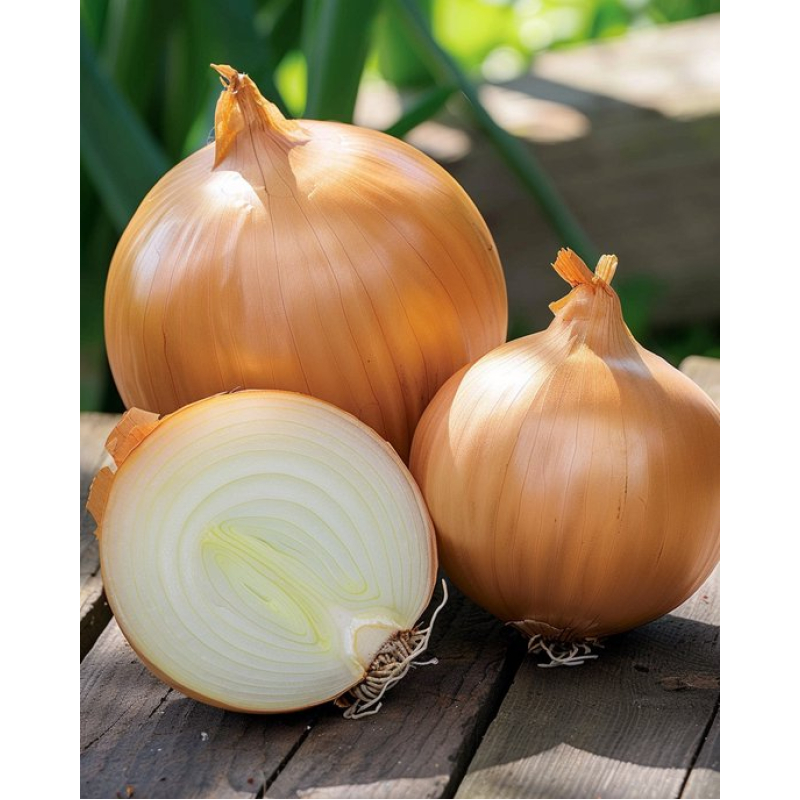 Uien 2 kg.